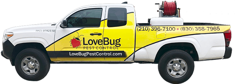 LoveBug Pest Control Company Truck